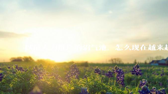 以前大力推广的沼气池，怎么现在越来越少了？
