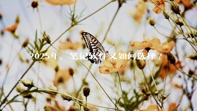 2025年，笔记软件又如何选择?