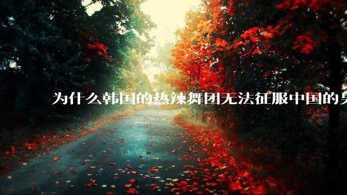 为什么韩国的热辣舞团无法征服中国的男性市场？？