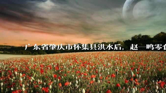 广东省肇庆市怀集县洪水后，赵一鸣零食店被哄抢，物资和收银机里面的几千块钱被哄抢一空，如何评价？