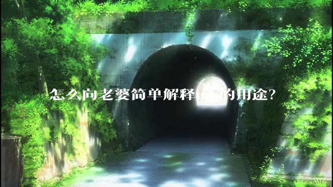 怎么向老婆简单解释nas的用途？
