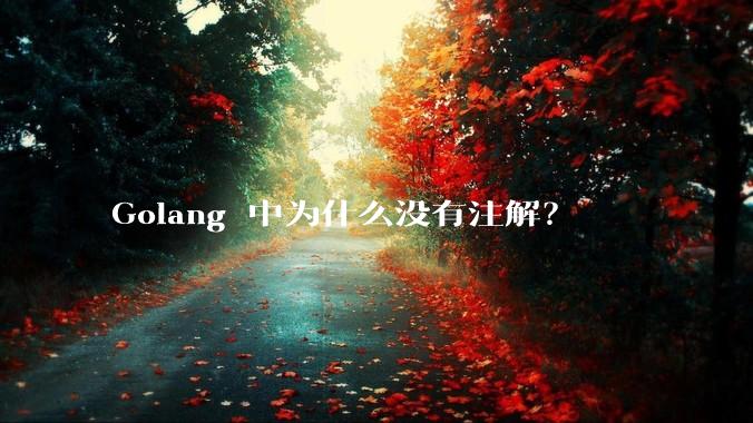 Golang 中为什么没有注解？
