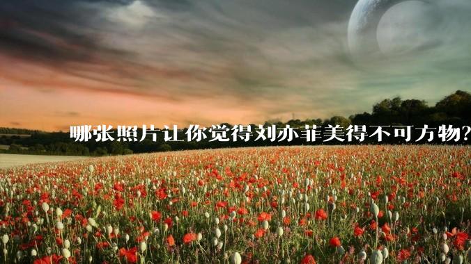哪张照片让你觉得刘亦菲美得不可方物？