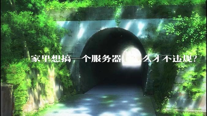 家里想搞一个服务器，怎么才不违规？