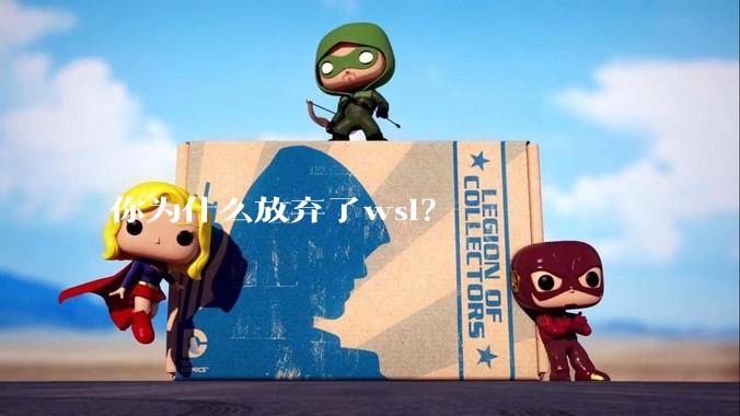 你为什么放弃了wsl？